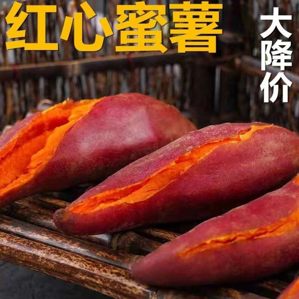 农家新鲜现挖农家红薯西瓜红蜜薯糖心板栗软糯香甜现挖现发番薯