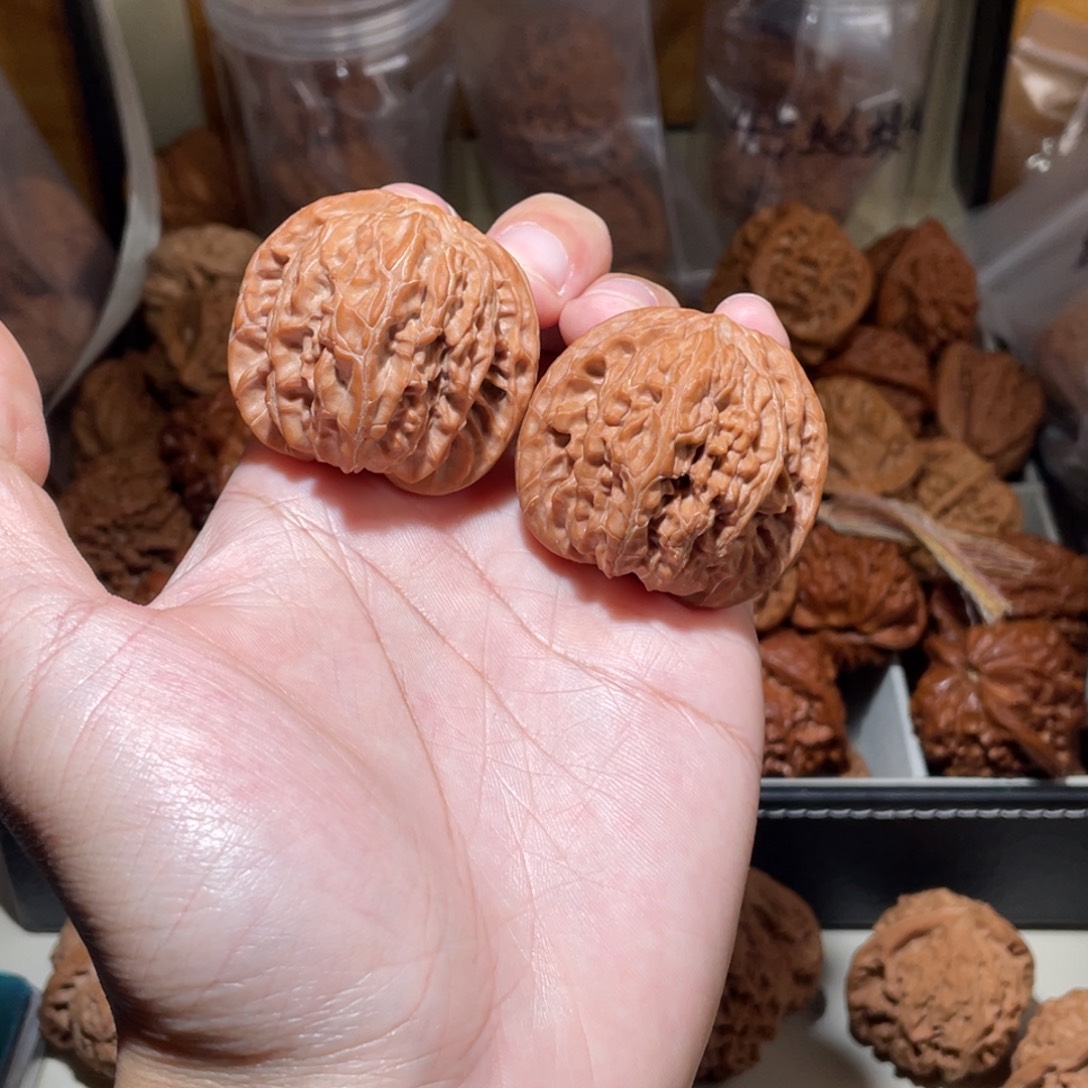 41➕房山正磨盘狮子头