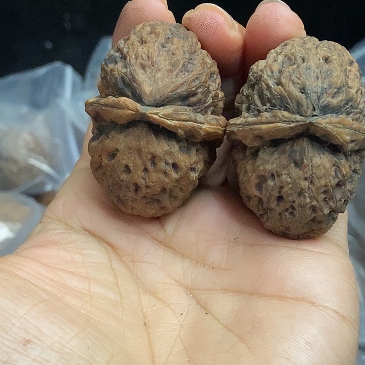 文玩核桃把件云南铁核桃基地84