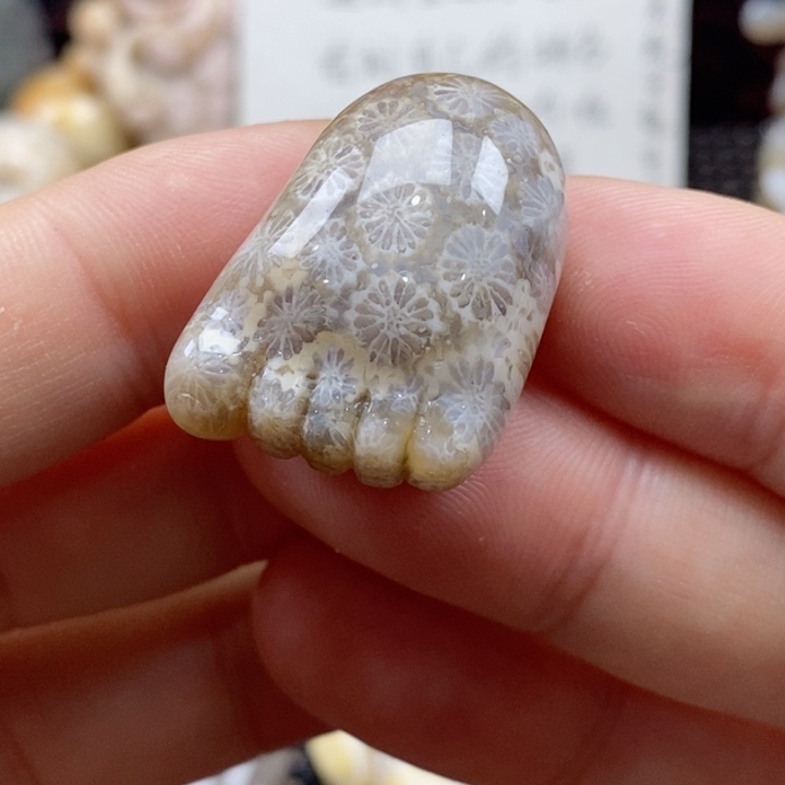 硅化珊瑚（珊瑚玉）颈饰未镶嵌