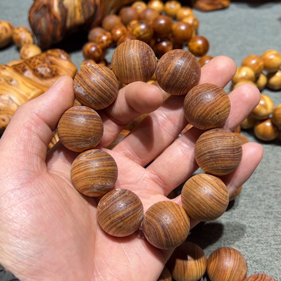 太行崖柏陈化太行