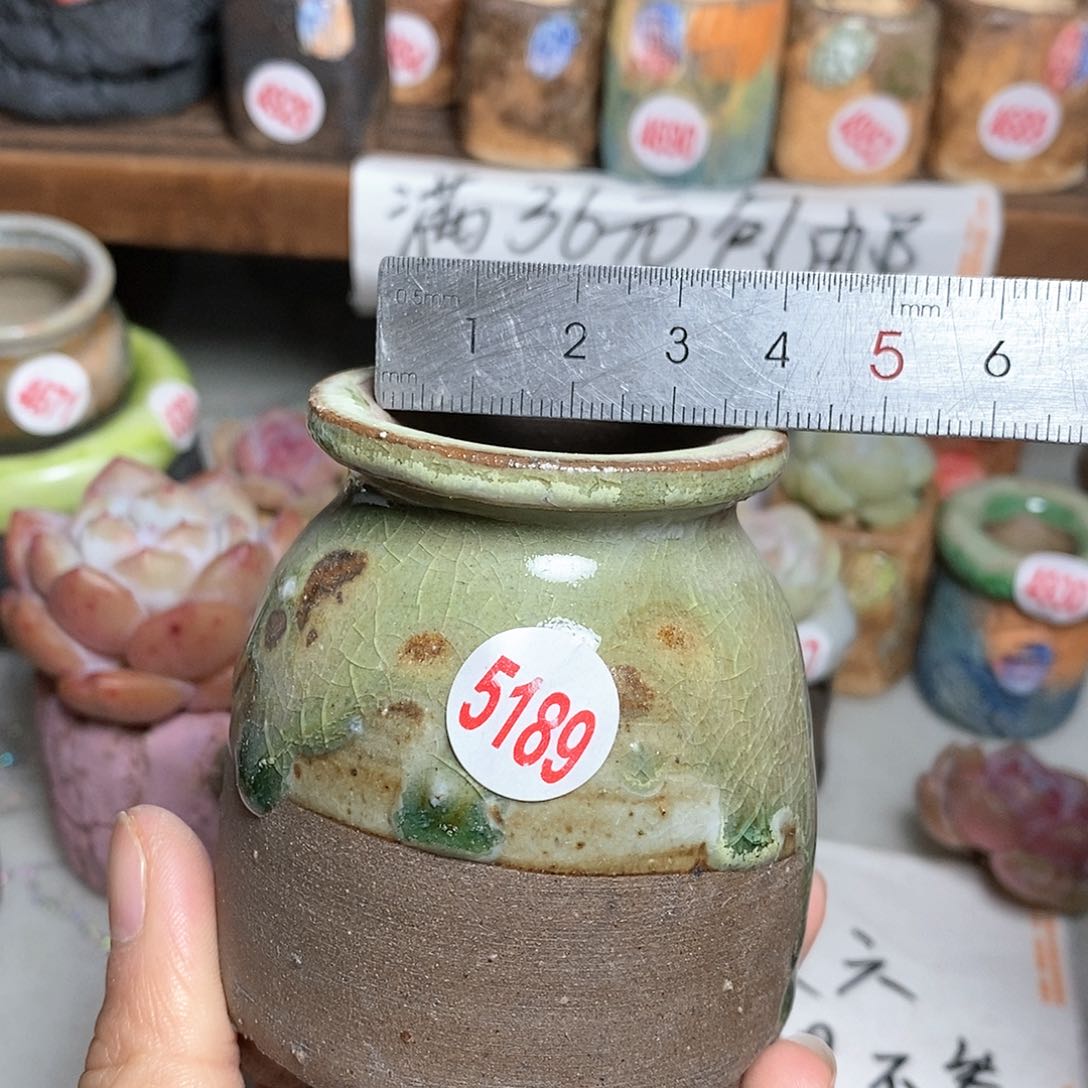 红陶拍5送一个小