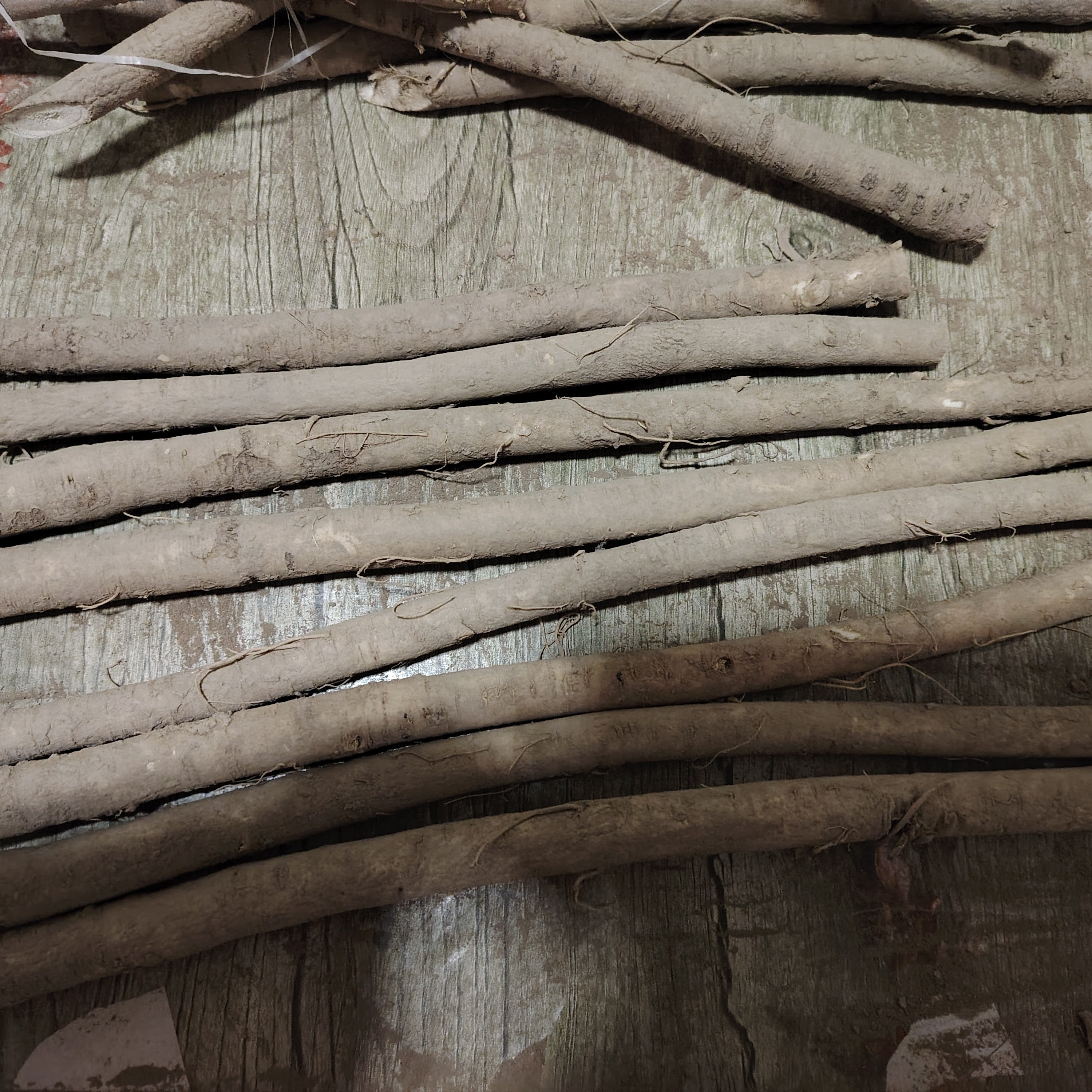 甘肃新鲜黄芪节子去头去尾可煲汤泡水炖肉当季鲜货