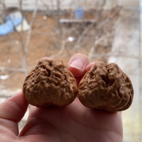 文玩核桃吊坠隔**王39蛤蟆头