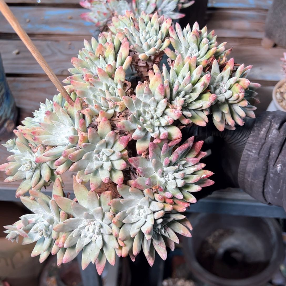 5364哈哈哈哈哈哈哈哈