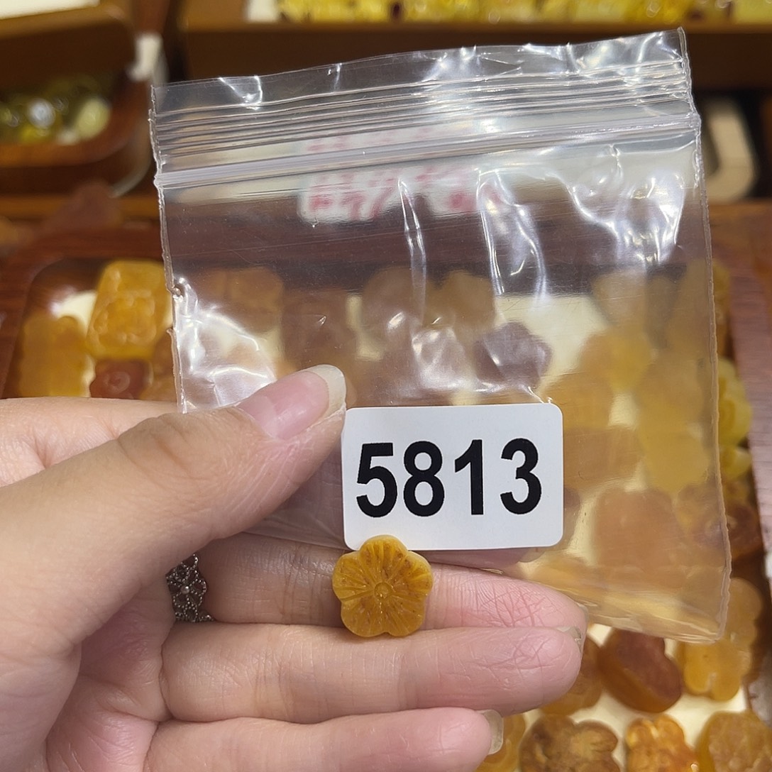 琥珀未镶嵌颈饰蜜蜡