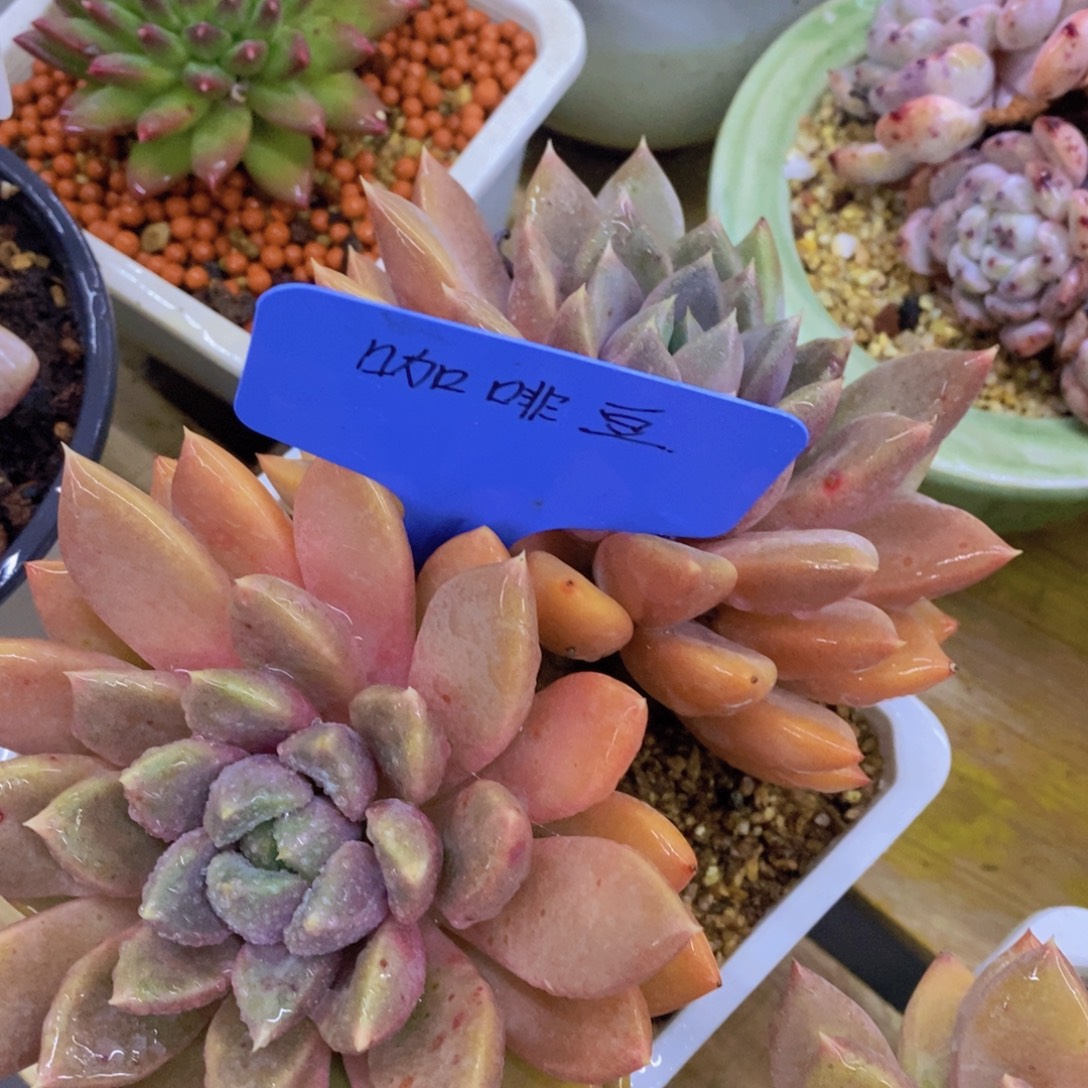 清货转场，一单包邮，满5宋1