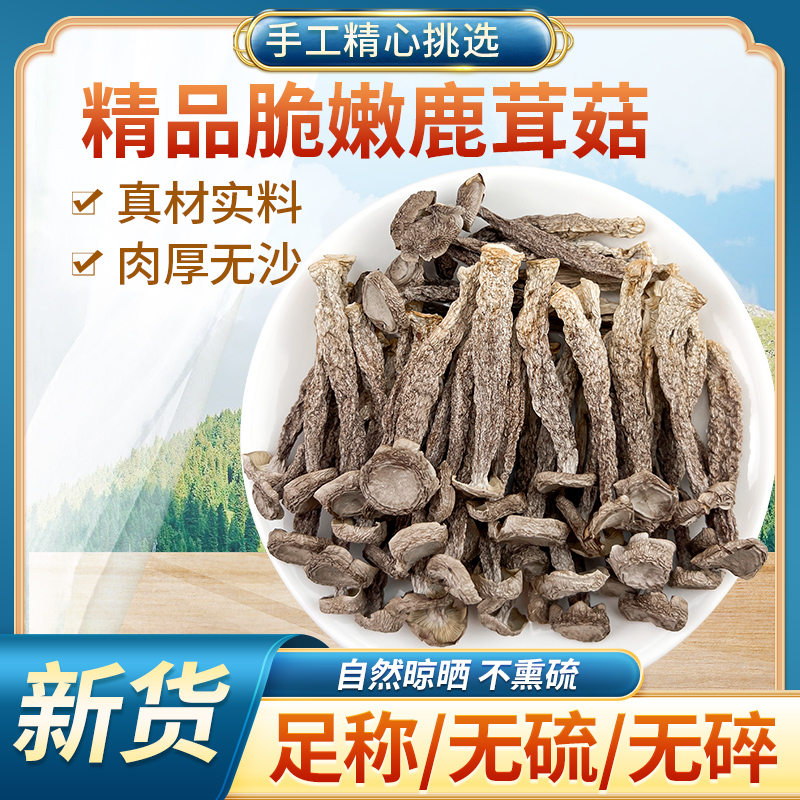 新货鹿茸菇嫩仔菇干货无硫鹿茸菇无根无杂营养炒菜好火锅食材