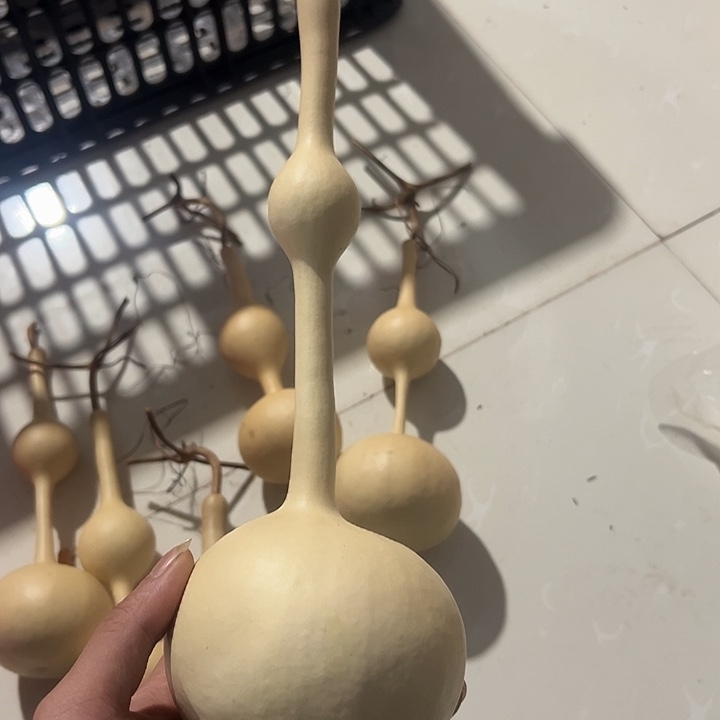 用***哥三庭文玩葫芦摆件福利价格68不退不换