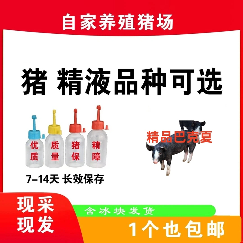 巴克夏种公精液一件包邮包对版生态养殖批发输精管猪用耗材