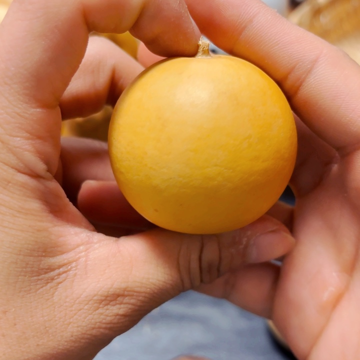 文*88888888888888888888