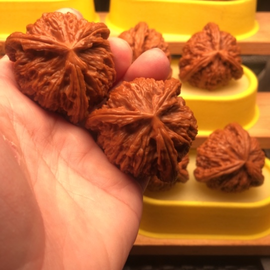那***尔核桃核桃核桃核桃