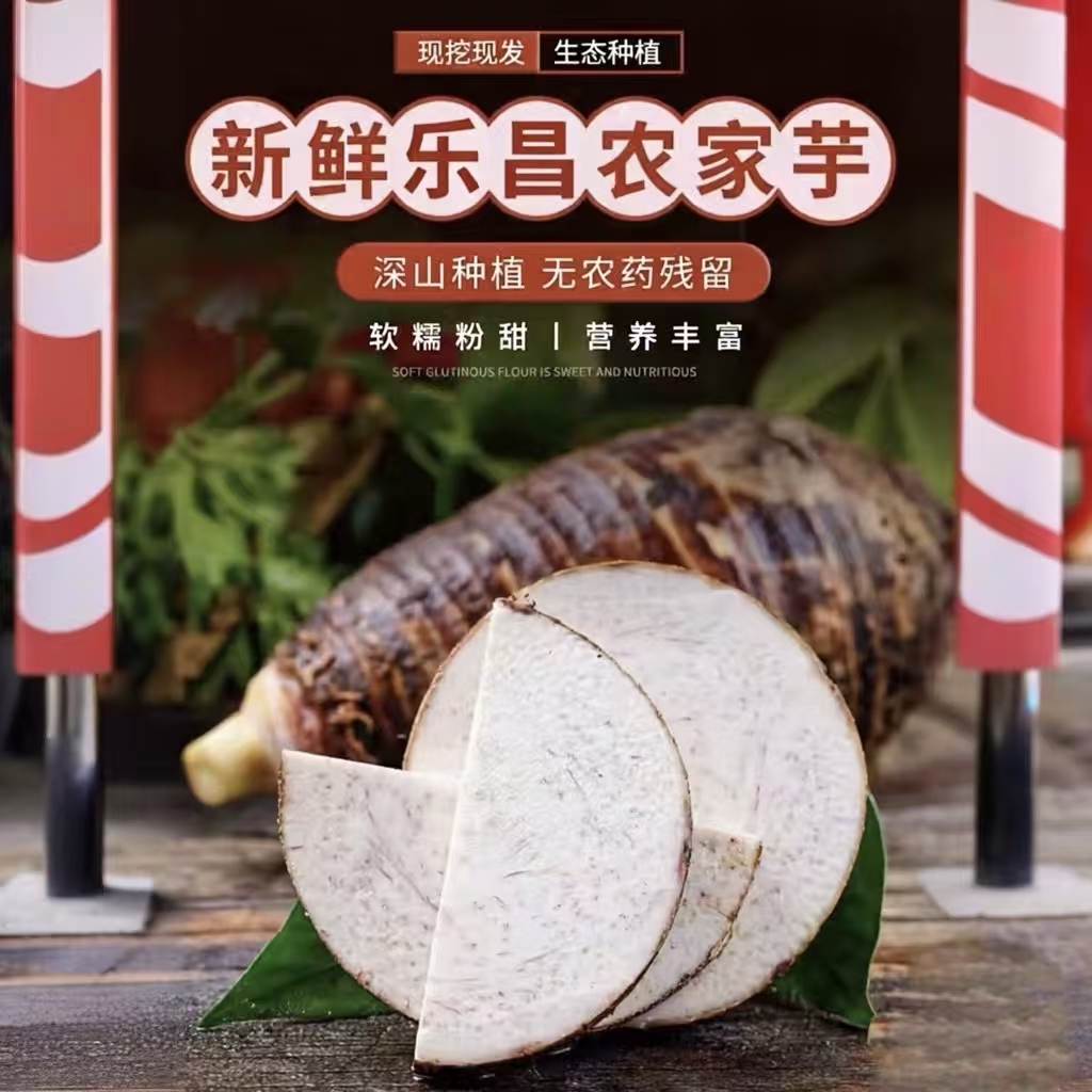 （尝鲜试吃）北乡“炮弹香芋“芋头产地直发现挖新鲜软糯粉香入口绵软