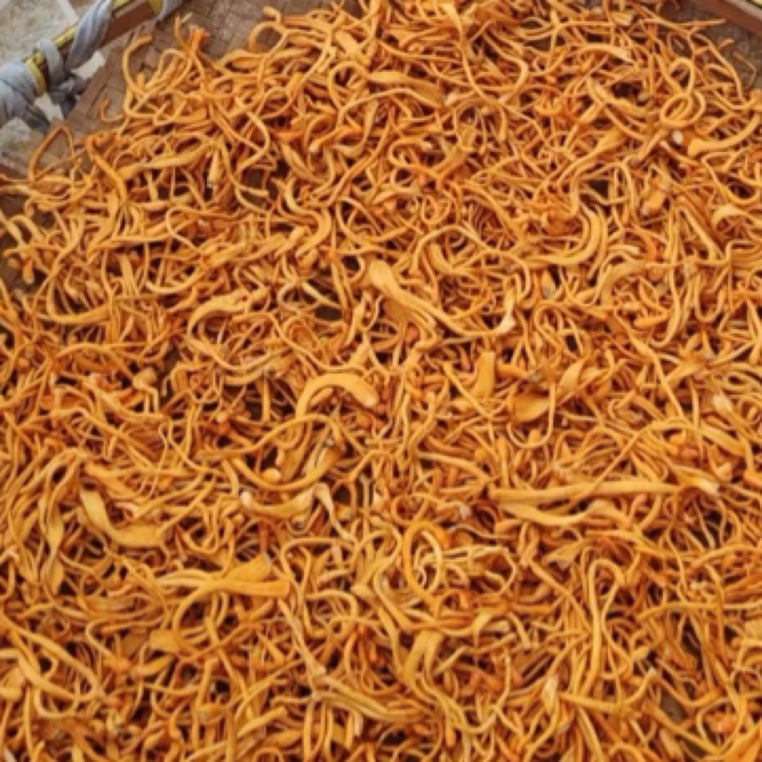 【250g，500g装】贵州农家自种虫草花煲汤爆炒好味道