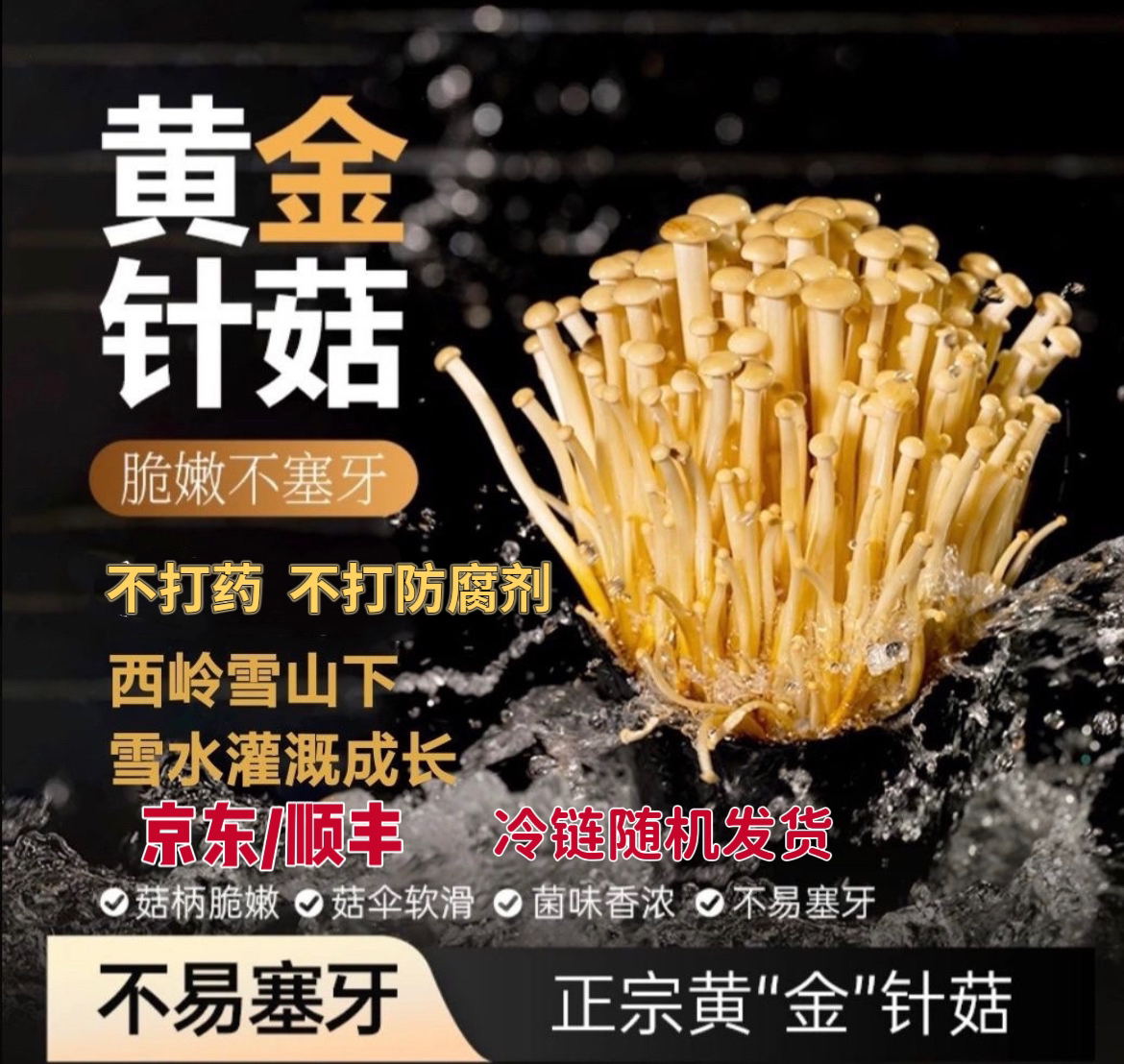 【顺丰/京东冷链】正宗新鲜黄金针菇产地基地直发菌菇火锅
