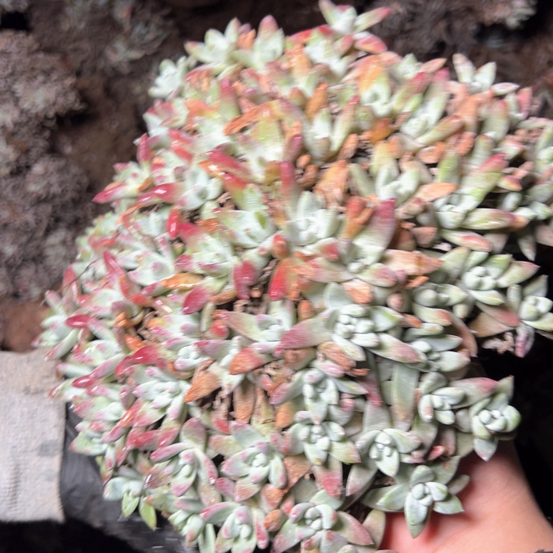 5994哈哈哈哈哈哈哈哈