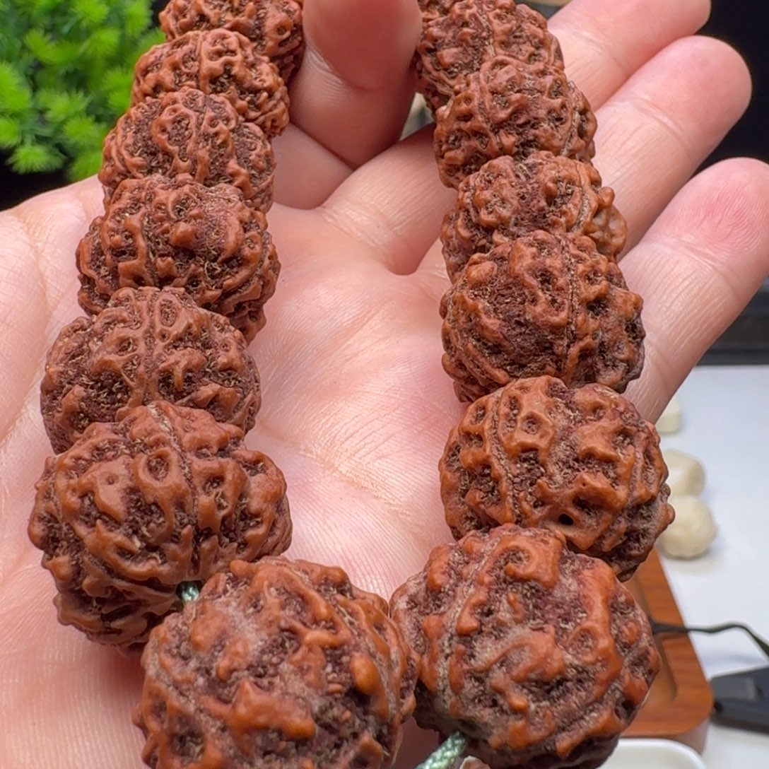 金刚菩提手串粗筋双龙