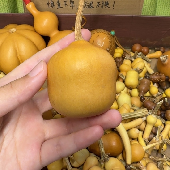 葫芦葫芦葫芦不包邮
