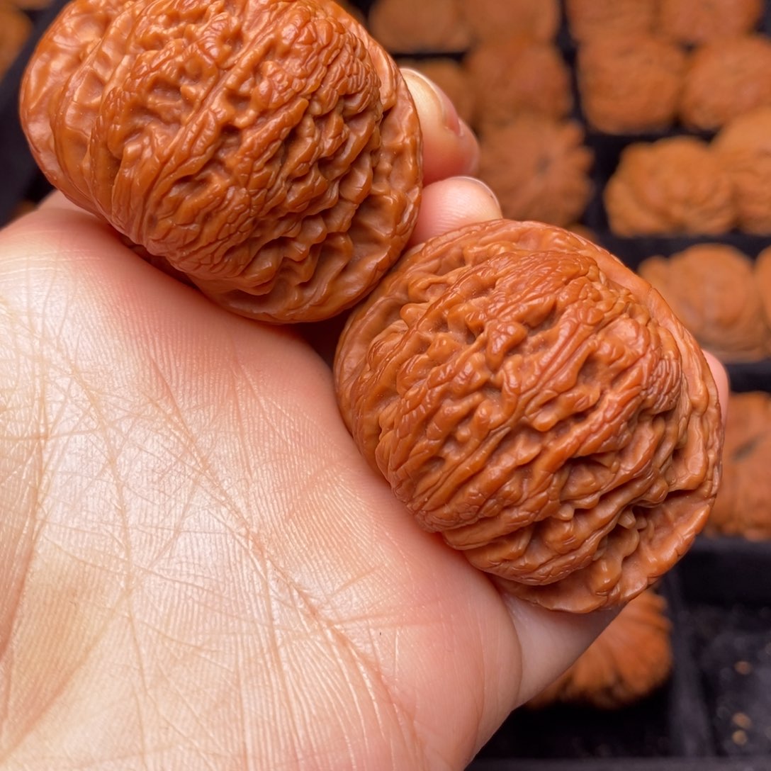 文玩核桃把件秦岭野生核桃