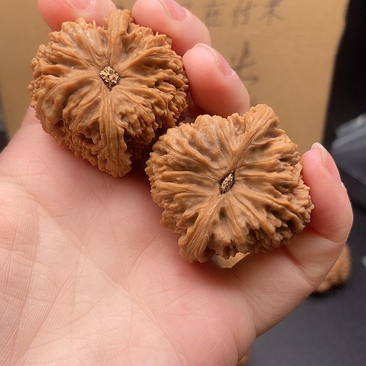 卍***尘大大大大大大南疆