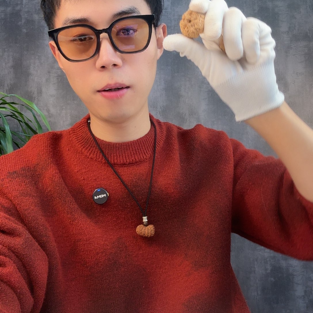 吊坠金刚菩提服了自己
