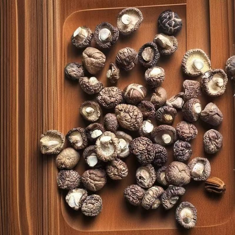 云南高原 小香菇