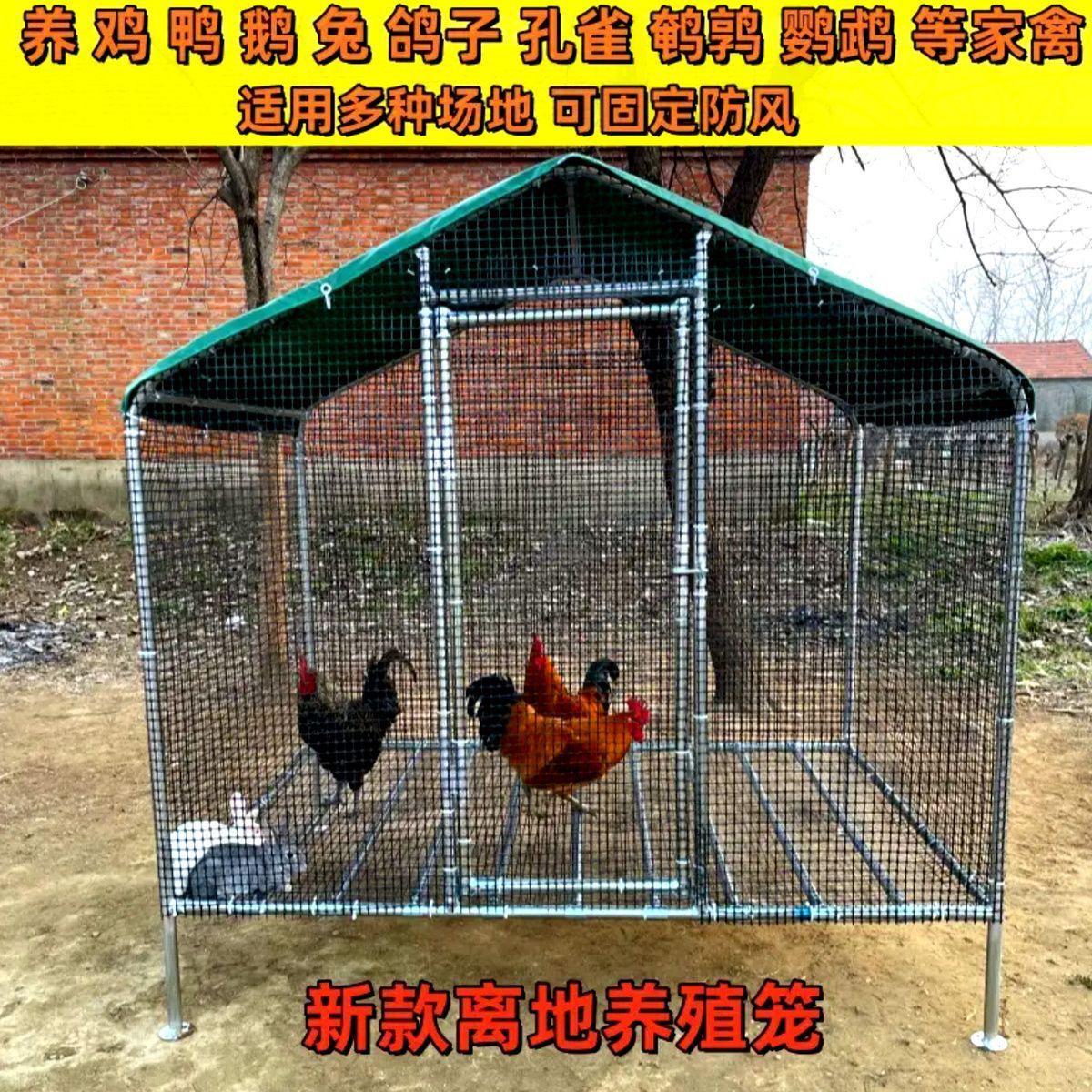 离地款户外大型定制鸡笼家用养殖棚防雨搭建家禽鸭鹅鸽子笼养鸡