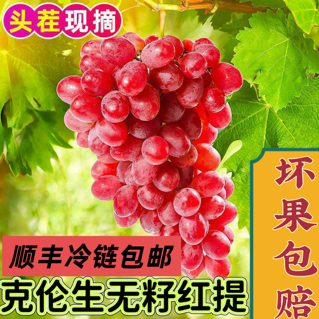 【顺丰冷链包邮】冰美人克伦生葡萄无酸现摘现发硬脆甜