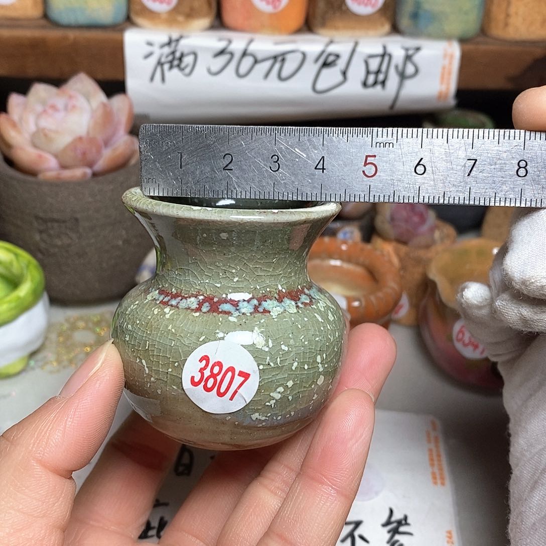 红陶拍5送一个小