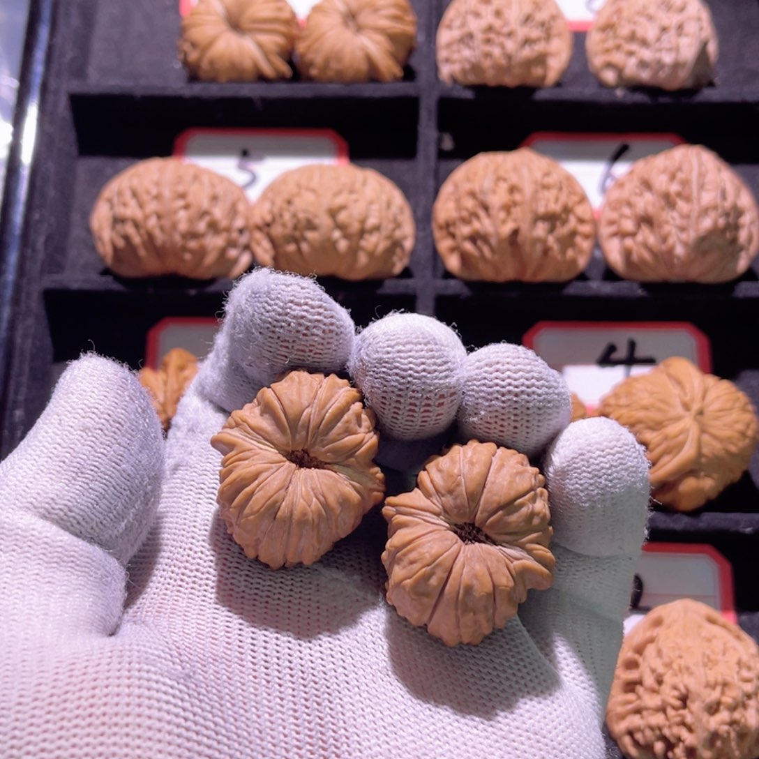 溜*猪秦皇岛山地果平谷楼