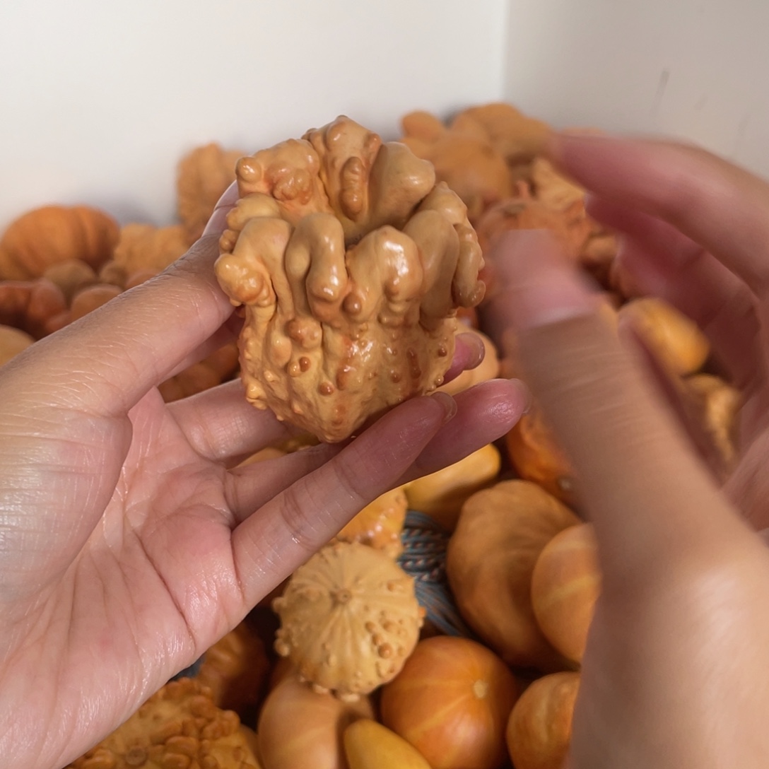 鼎***)鼎汇哈哈哈哈哈哈哈哈