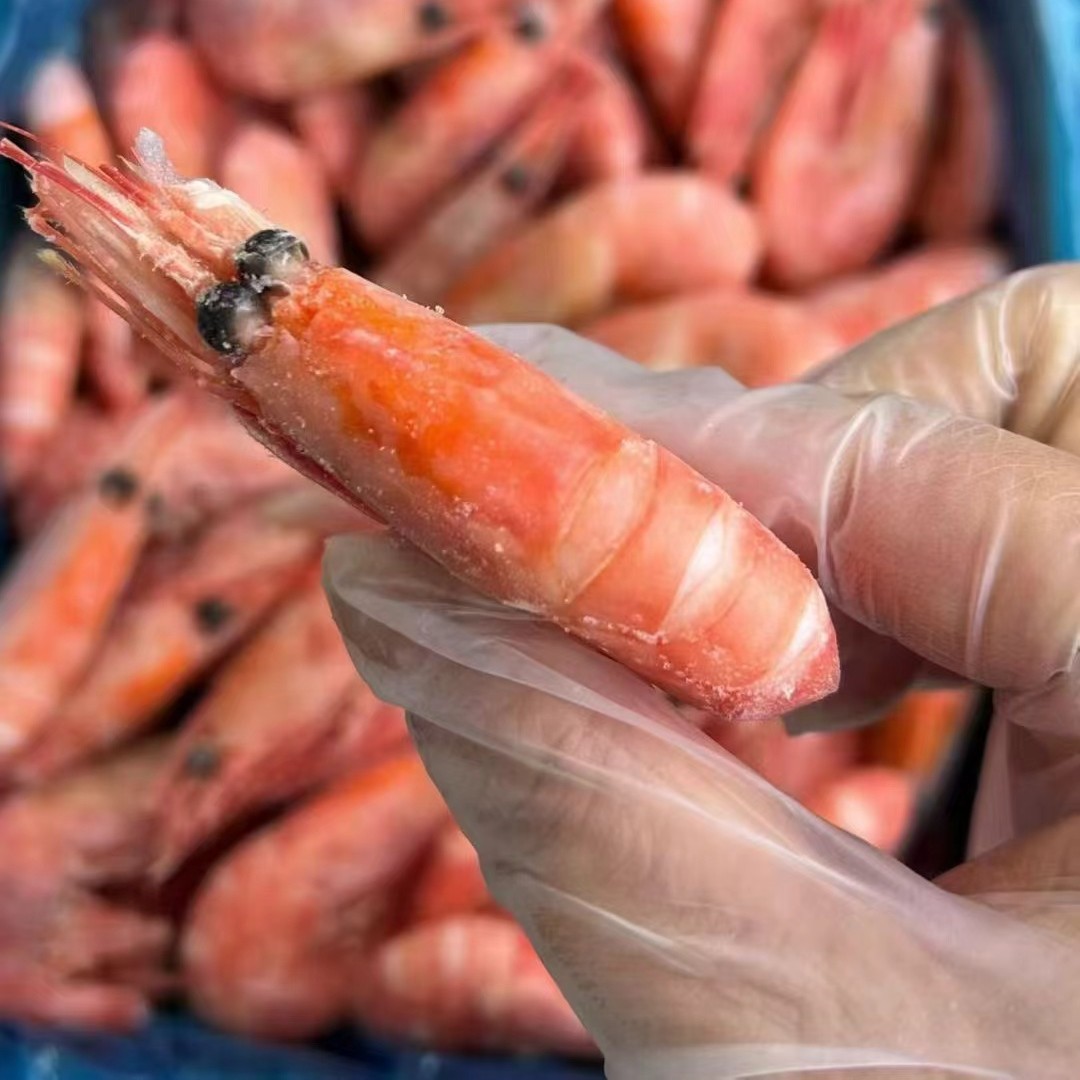 北极虾  头籽 北极甜虾