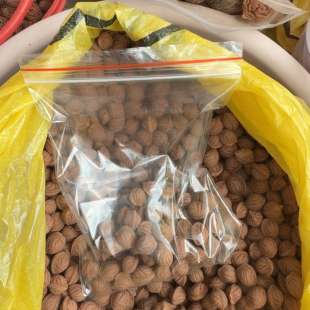 精品野生龙纹50颗