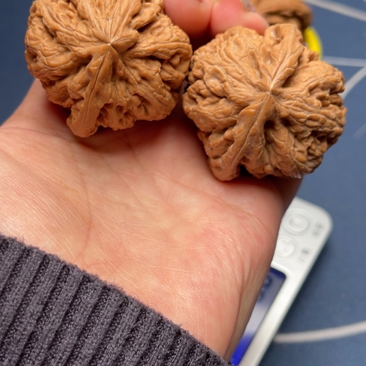 文玩核桃把件粗筋42