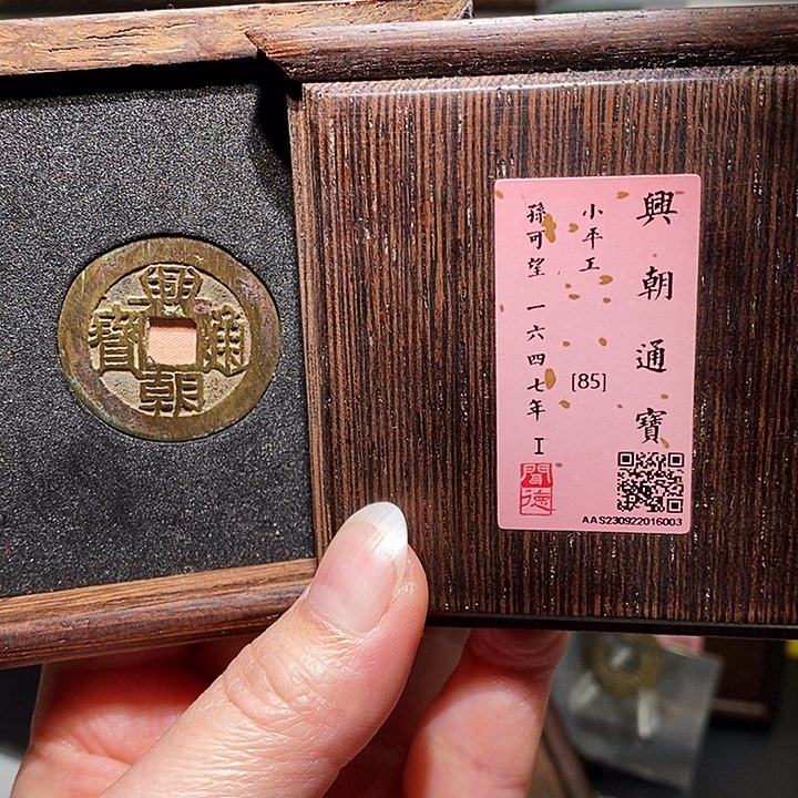 铜瀚海文物A兴朝通宝6003