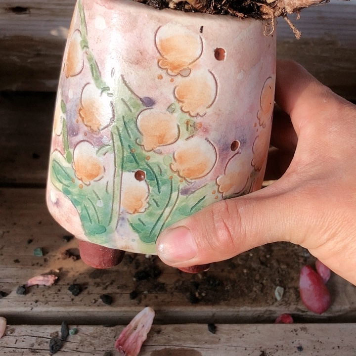 【闪购商品】小*小汐盆