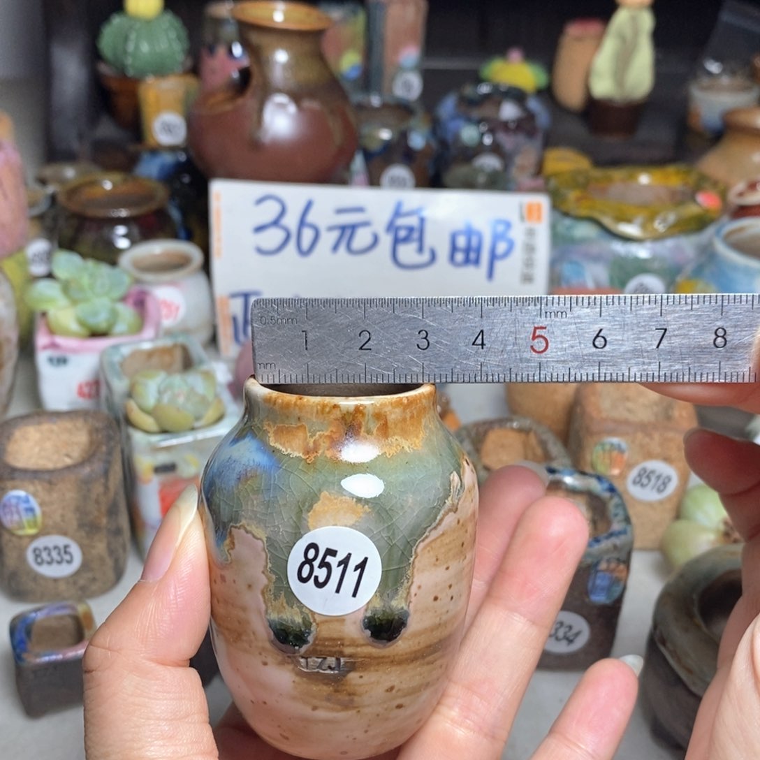拍5送一个小礼物