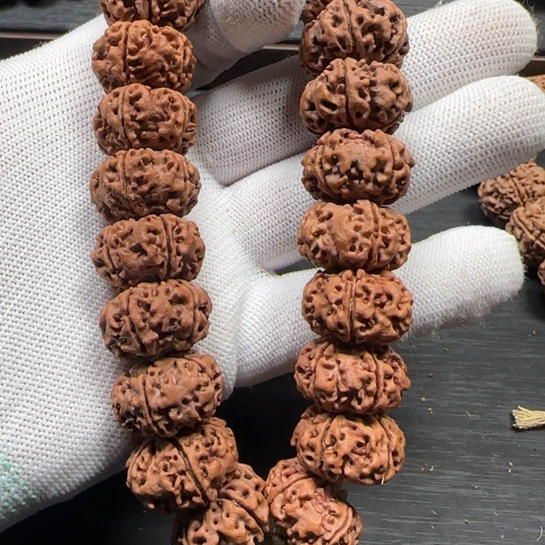 金刚菩提吊坠热***手21+mm天然纽扣