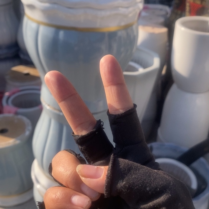 低腰白花口蓝南瓜特大号2个