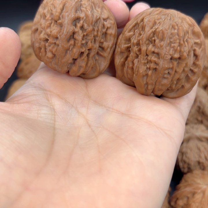 41四座楼全品无修全品