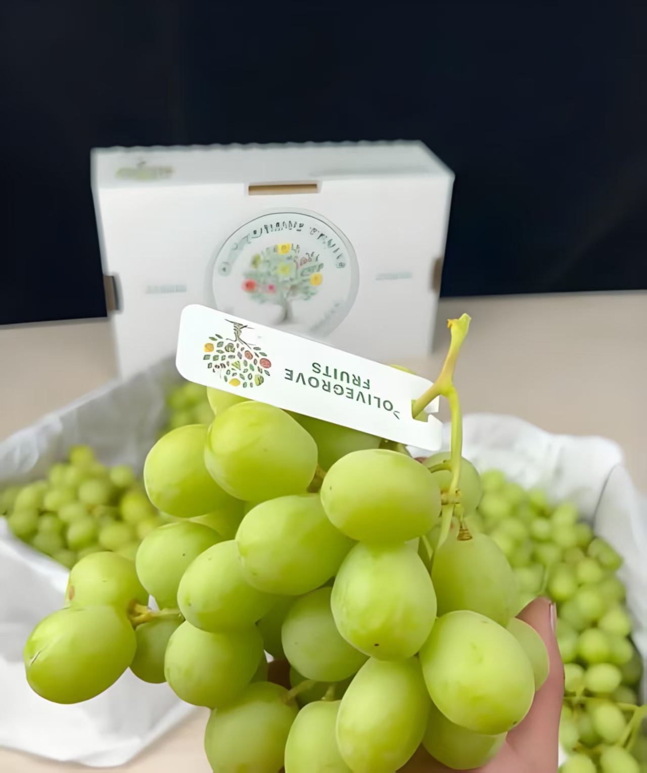 澳洲空运甜地球青提当季新鲜水果无籽水晶葡萄脆甜多汁1-4斤顺丰