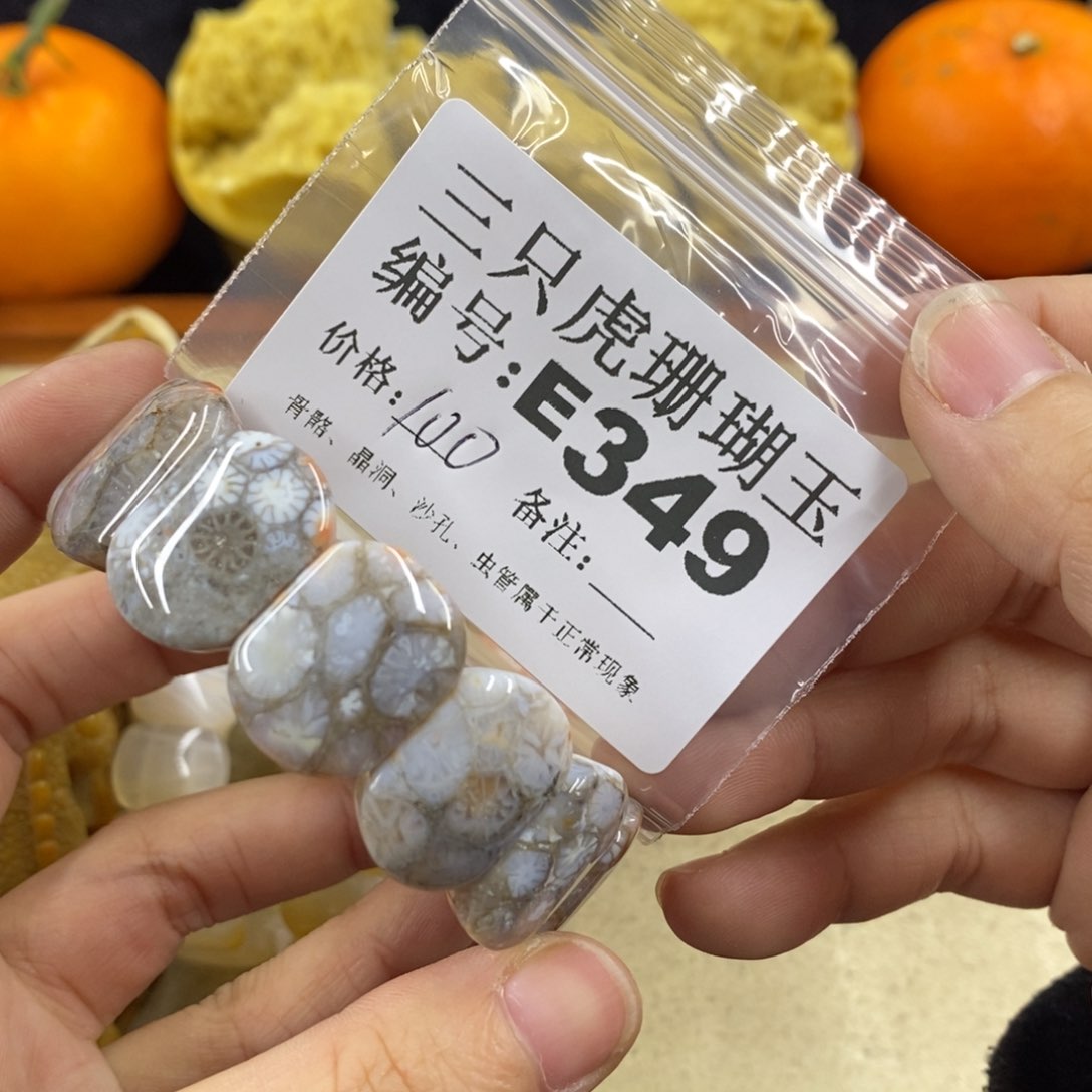 硅化珊瑚（珊瑚玉）1未镶嵌乌****子