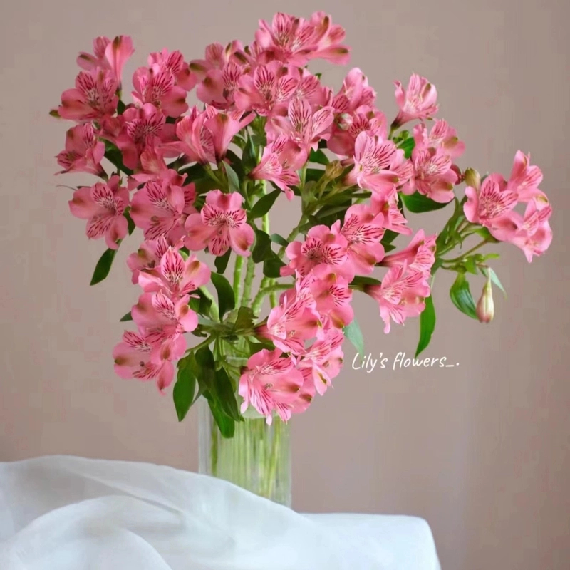 【水仙百合】云南鲜花七夕粉色昆明基地直发花束