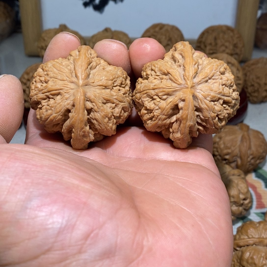 文玩核桃把件47尺平谷大粗筋