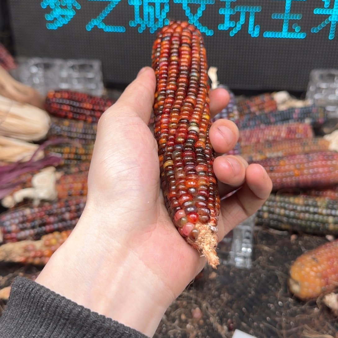 柏香籽/百香籽吊坠彼*