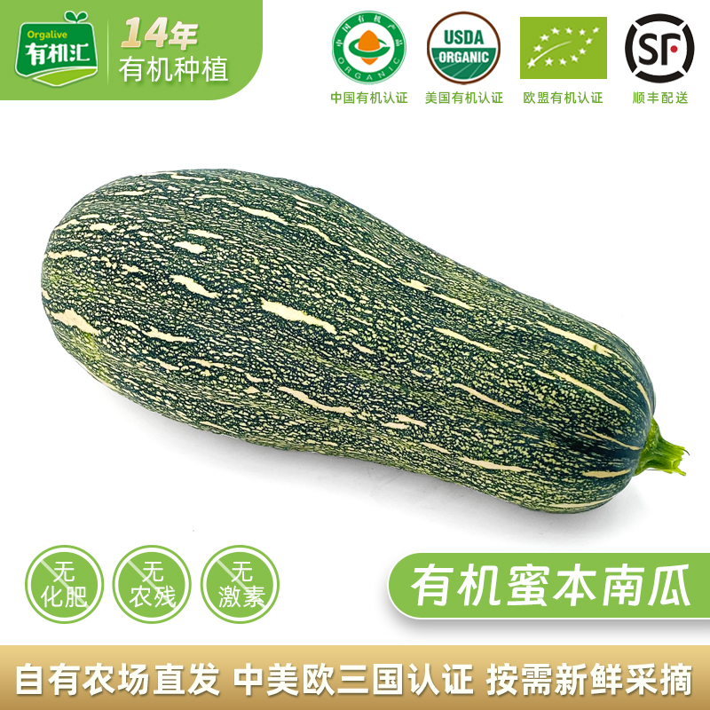 有机密本南瓜有机老南瓜中国秘本南瓜蜜本老南瓜500g