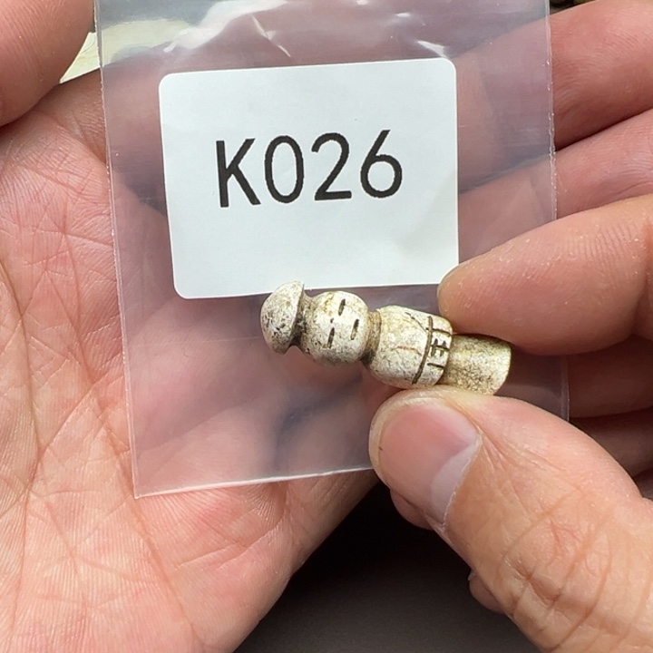 菩提根/象牙果吊坠看****。