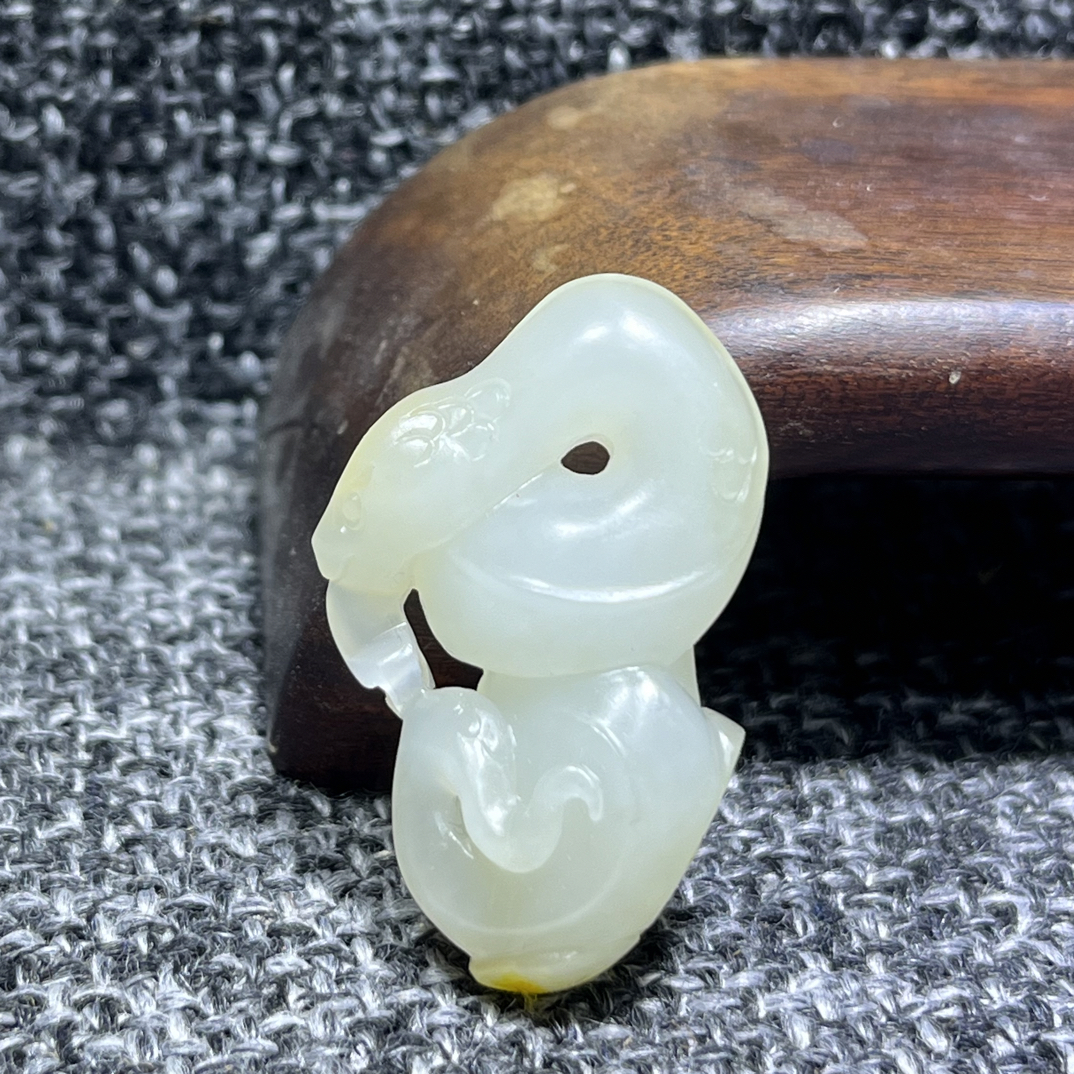 新疆和田籽玉蛇，腰缠万贯