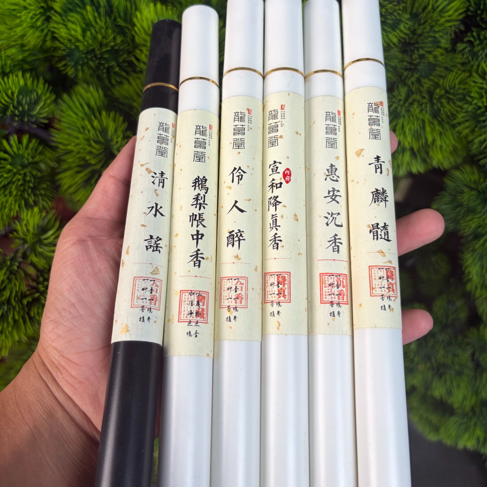 泽泽泽六款线香新款体验装原天然线香安神助眠卧室熏香舒缓ZH0011