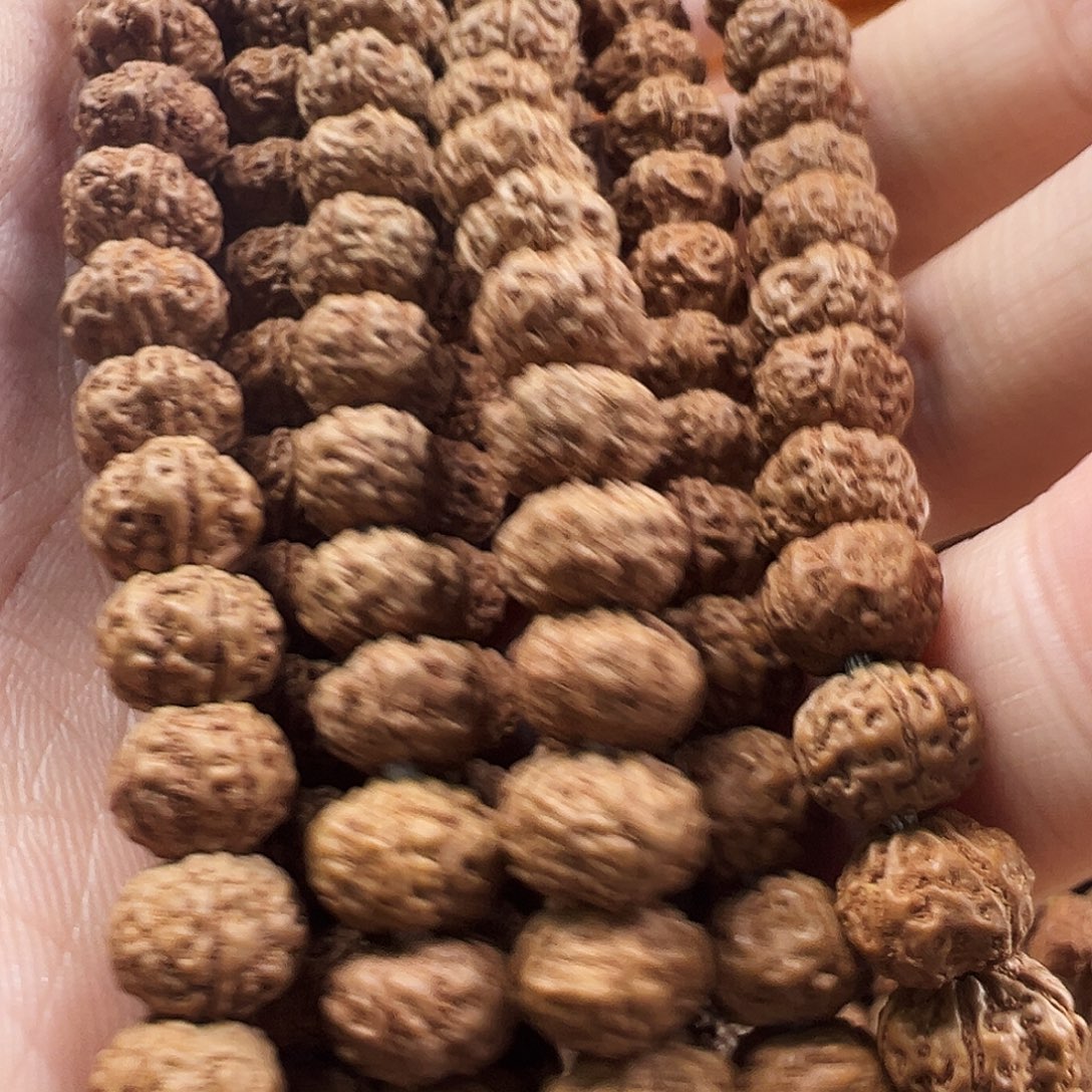 吊坠金刚菩提老树梅花褐皮8m